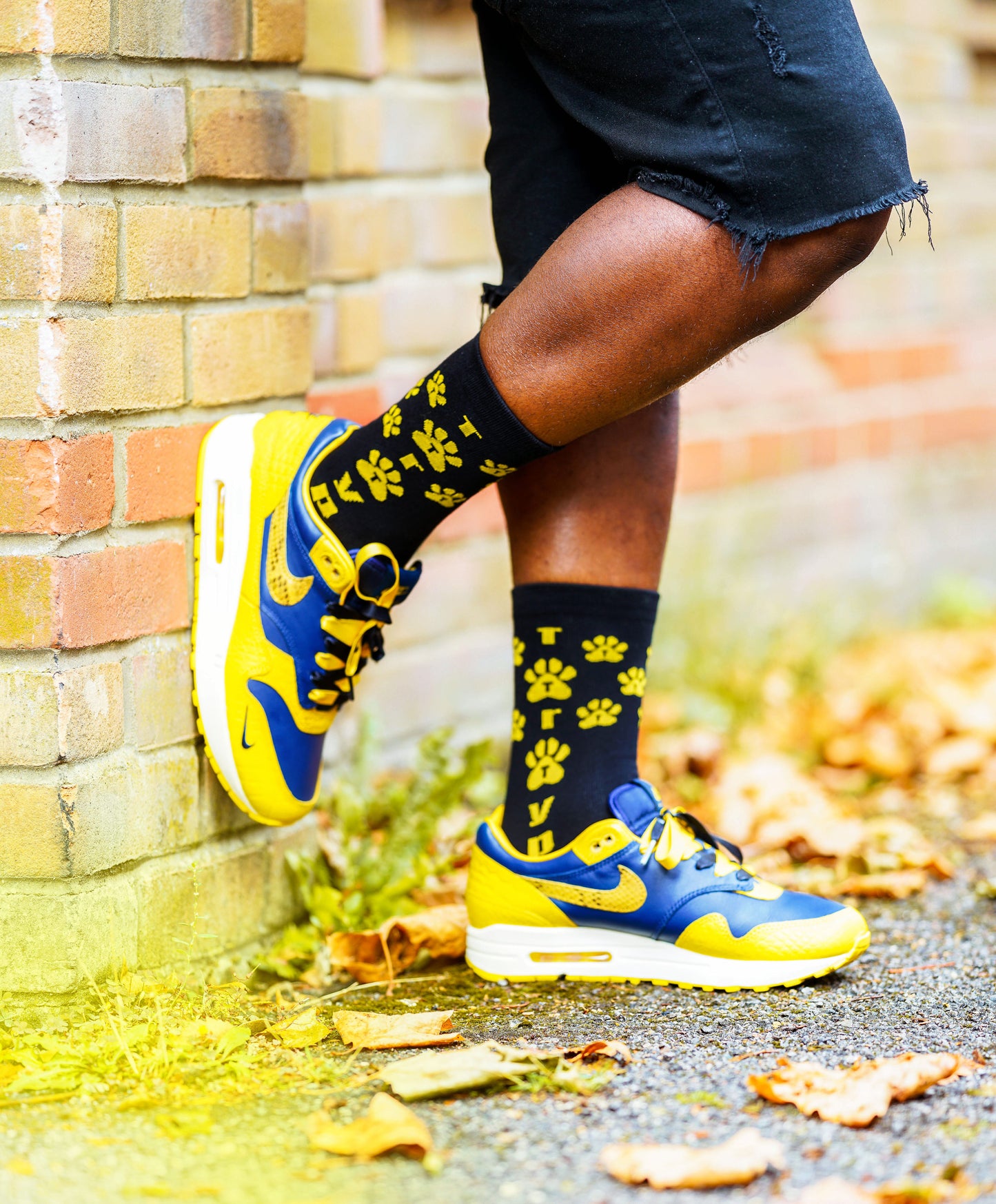 Mur-Yellow Socks